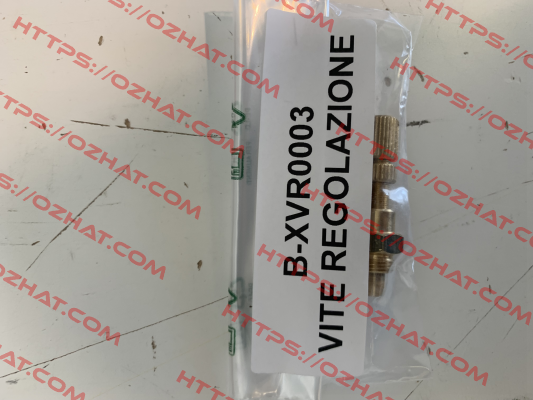 B-XVR0003 Balossi