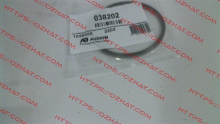 038202 AUDION