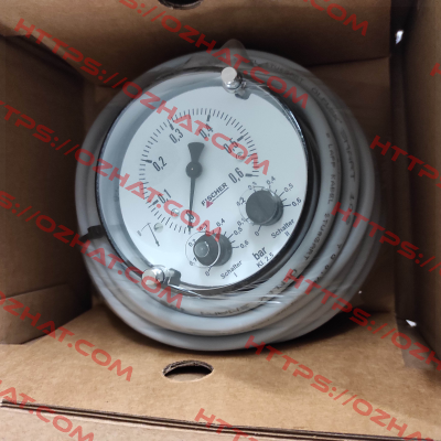 DS21010A21B50W00 Fischer