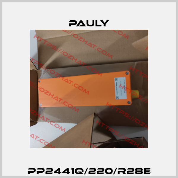 PP2441q/220/R28E Pauly