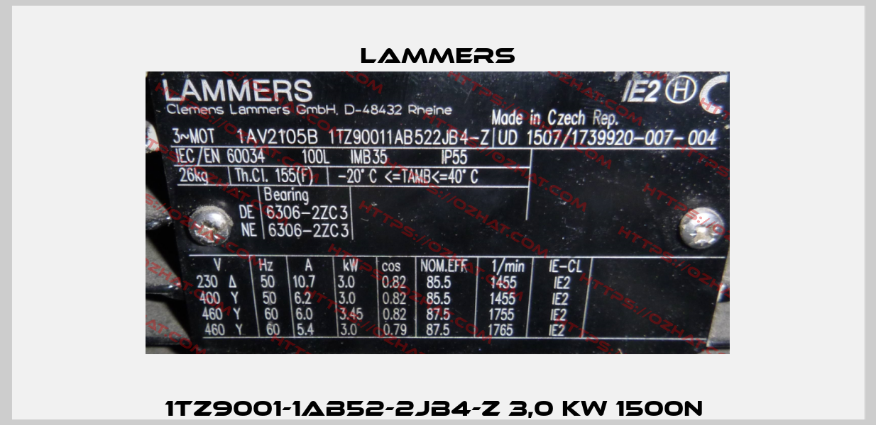 1TZ9001-1AB52-2JB4-Z 3,0 kW 1500n  Lammers