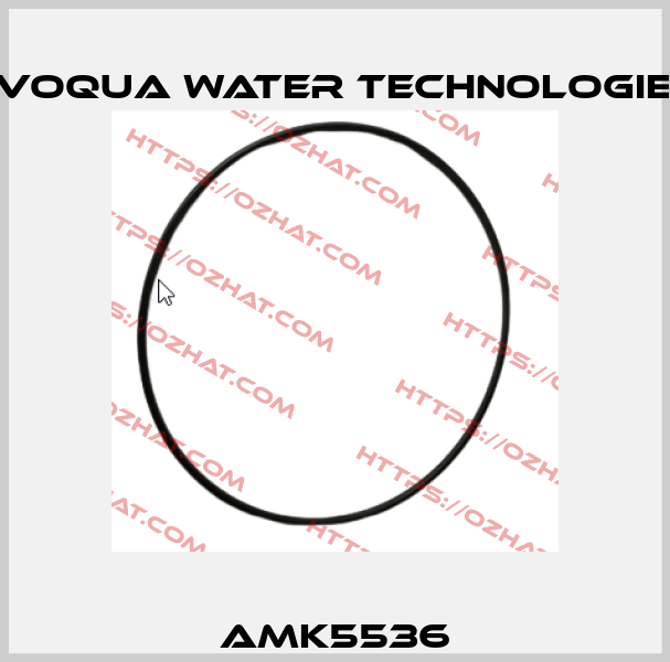 AMK5536 Evoqua Water Technologies