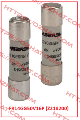 FR14GG50V16P (Z218200) Mersen