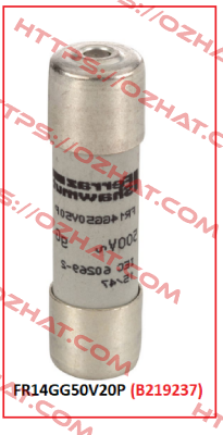 FR14GG50V20P (B219237) Mersen