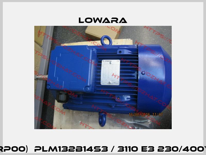 50A19RP00)  PLM132B14S3 / 3110 E3 230/400V 50Hz Lowara