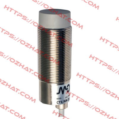 CT1/CP-2A Micro Detectors / Diell (now Datasensing)