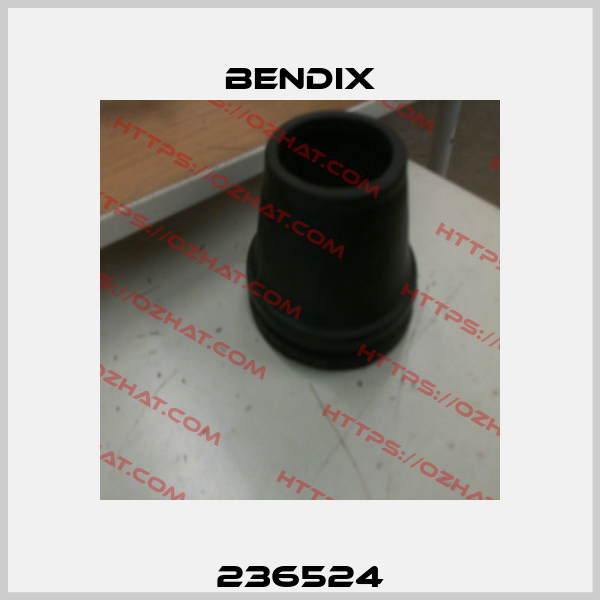 236524 Bendix