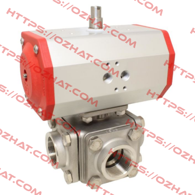 ZD311423-EE620632/AX End Armaturen