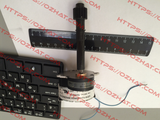 plastic gear shaft for UGM60CN2B  Saia-Burgess