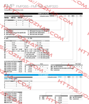 FMP-065-2-B-A-G1-A25-N-P01 MP Filtri