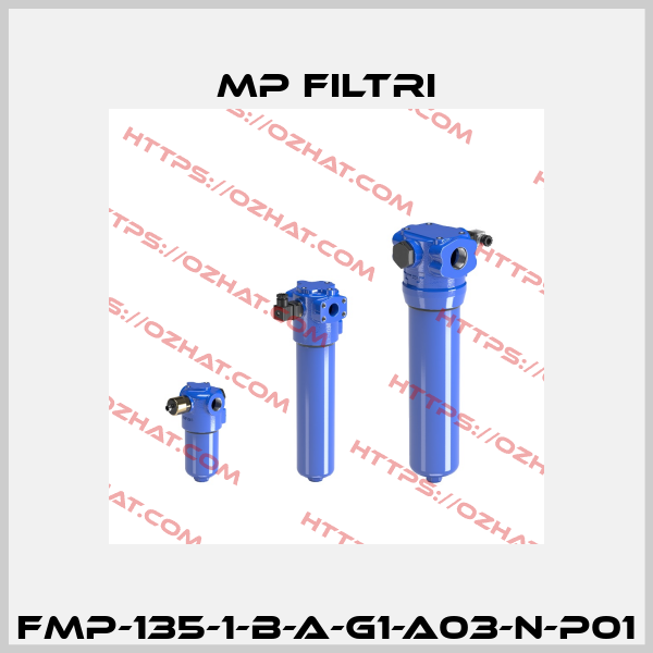 FMP-135-1-B-A-G1-A03-N-P01 MP Filtri