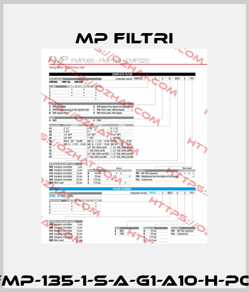 FMP-135-1-S-A-G1-A10-H-P01 MP Filtri