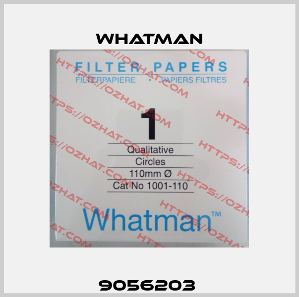 9056203  Whatman