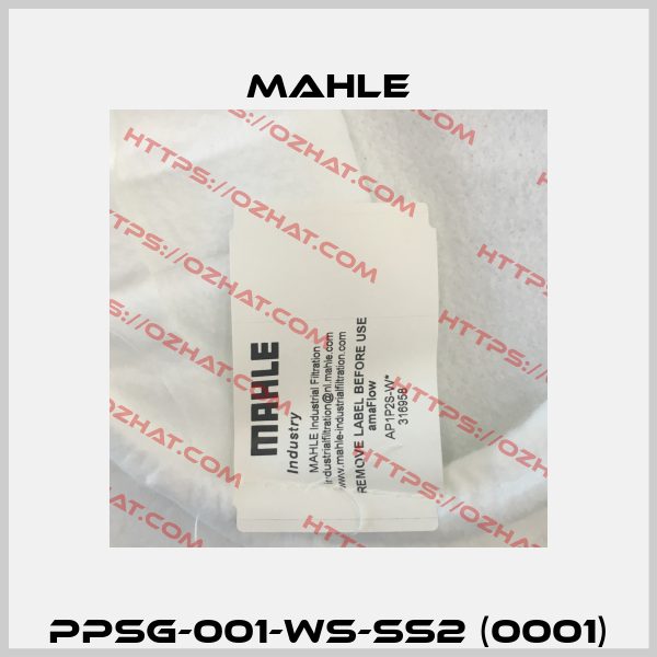 PPSG-001-WS-SS2 (0001) MAHLE