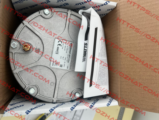 Type: 70631/6B, Code: 007.0065.000 Giuliani Anello