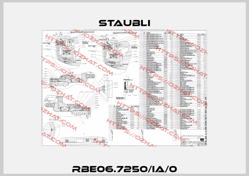RBE06.7250/IA/0 Staubli
