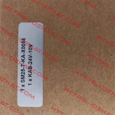 SM25-T-KA-X0058 EDDYLAB
