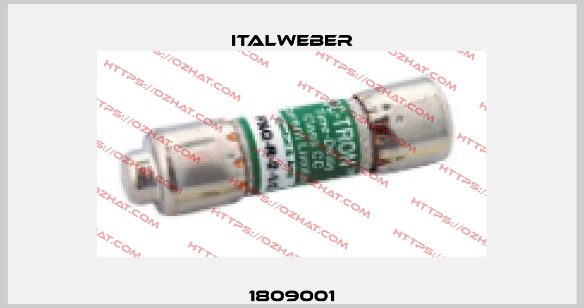1809001 Italweber