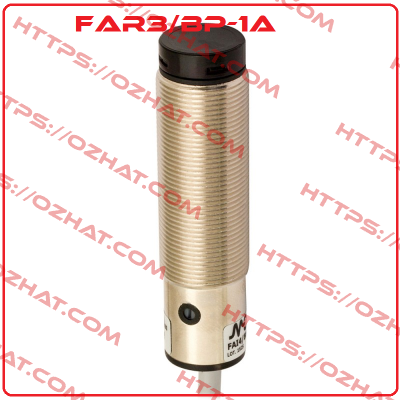 FAR3/BP-1A Micro Detectors / Diell (now Datasensing)