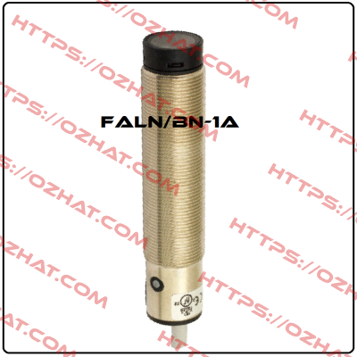 FALN/BN-1A Micro Detectors / Diell (now Datasensing)