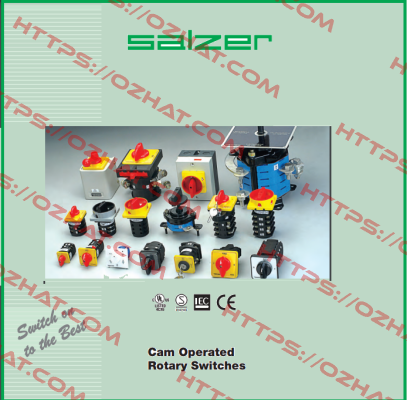 61131 Salzer