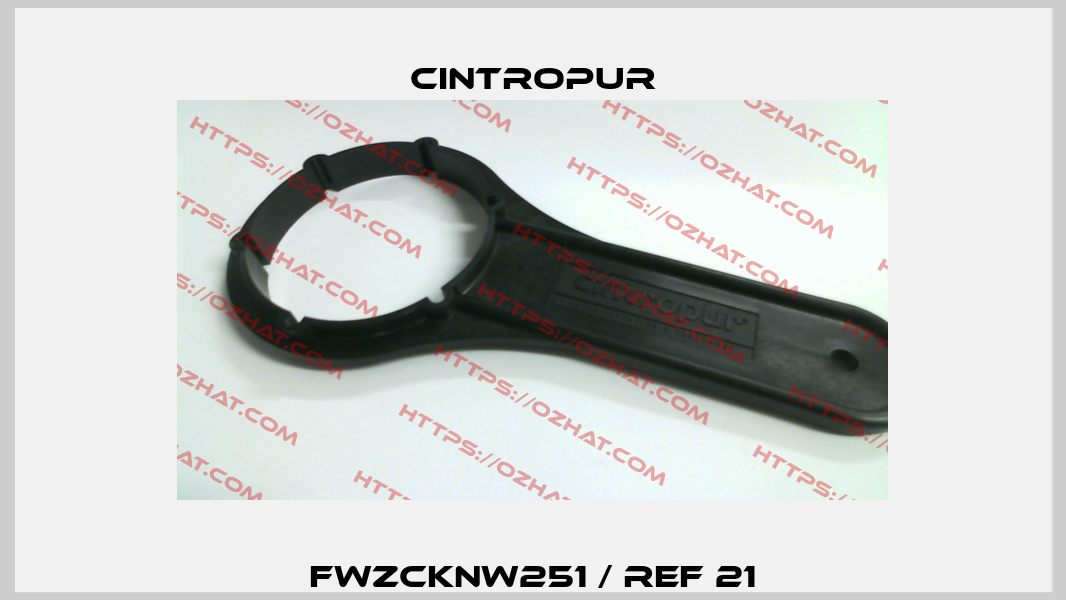 FWZCKNW251 / REF 21 Cintropur