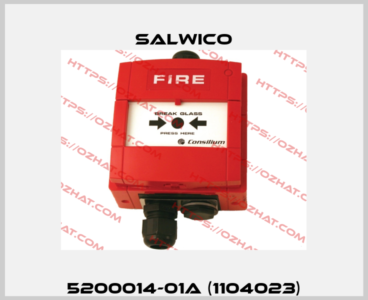 5200014-01A (1104023) Salwico