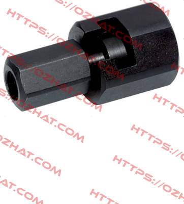 Order No. 25100.0056 Halder