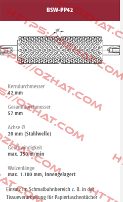 BSW-PP42-232176 old code / new code BSW-PP42-232176/1 Mink Bürsten