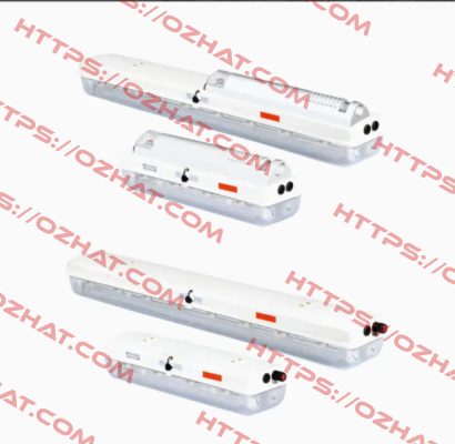 FL-0866 2X36W-1-B CZ Explosion-proof