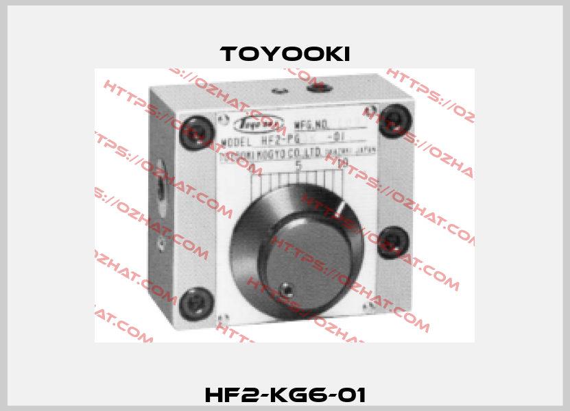 HF2-KG6-01 Toyooki