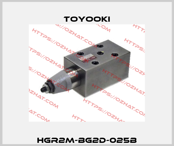 HGR2M-BG2D-025B Toyooki