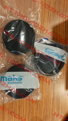 Y-69-088 Pemaks