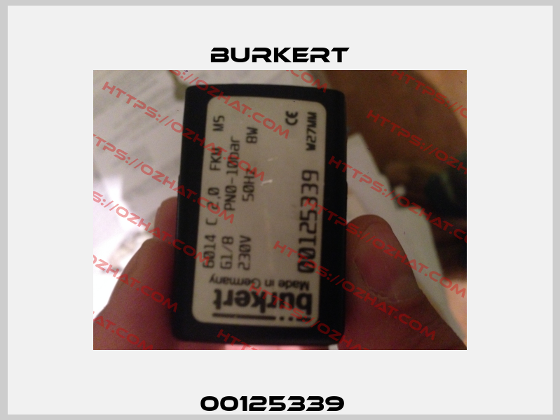 00125339   Burkert