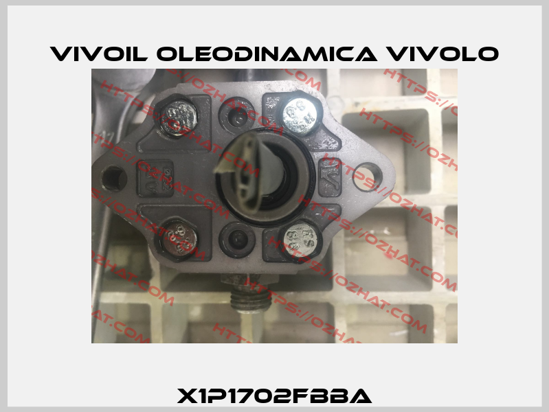X1P1702FBBA Vivoil Oleodinamica Vivolo