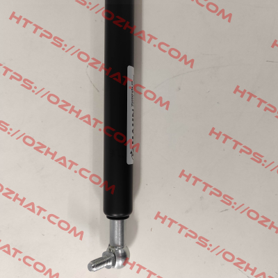G10-23ST-36827 Hahn Gasfedern