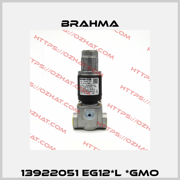 13922051 EG12*L *GMO Brahma