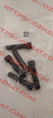 310005-V Maxon