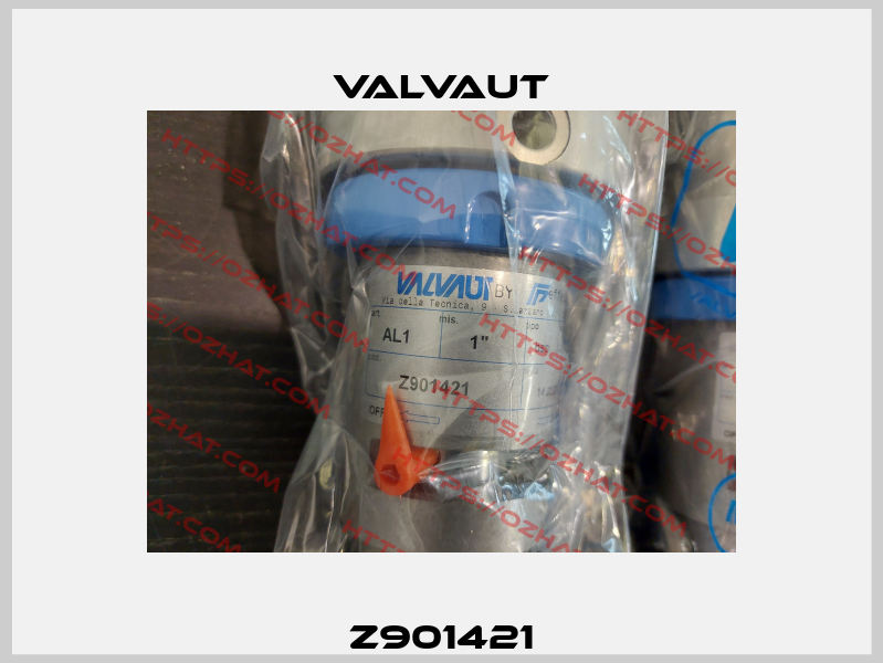 Z901421 Valvaut