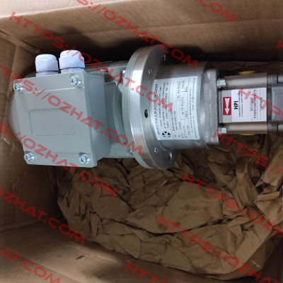 P1BAN1006CL10 B01N / HKA 00040501784 HPI