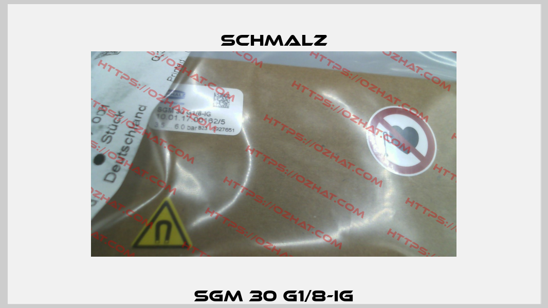 SGM 30 G1/8-IG Schmalz
