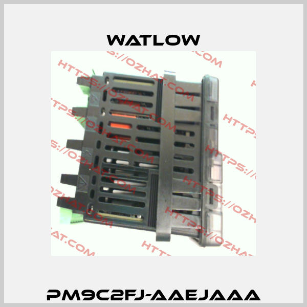 PM9C2FJ-AAEJAAA Watlow