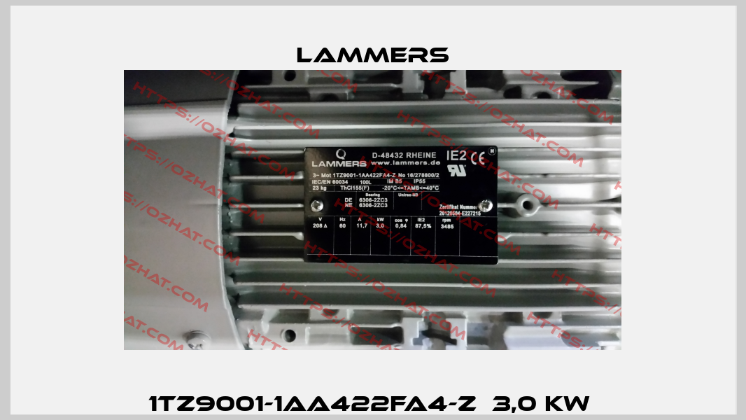 1TZ9001-1AA422FA4-Z  3,0 KW  Lammers