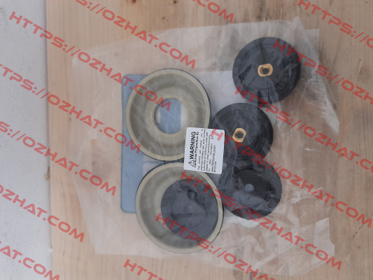 21000209 Flojet Pump