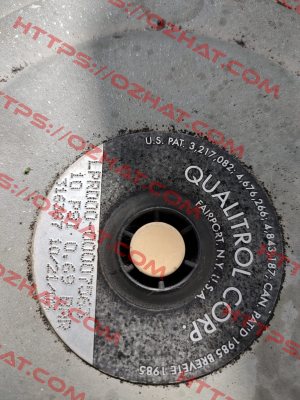 LPRD00-00007563 Qualitrol