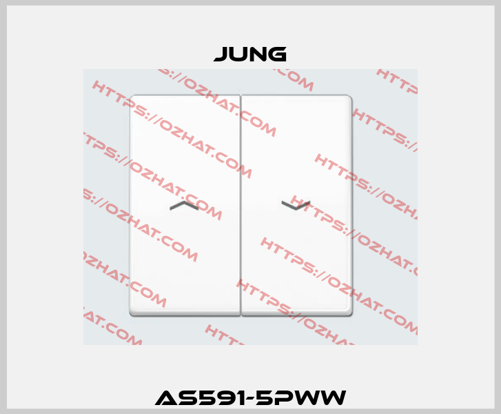 AS591-5PWW Jung