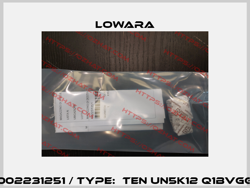 002231251 / Type:  TEN UN5K12 Q1BVGG Lowara