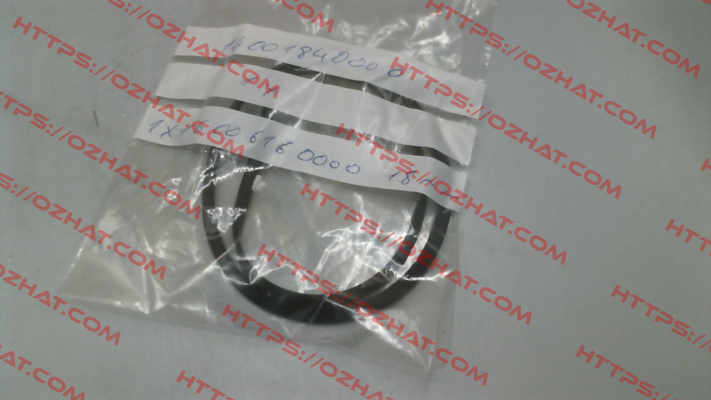 O-ring for NM 25/1600E Calpeda