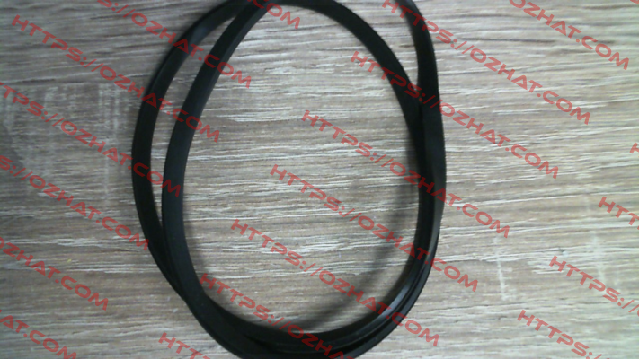 Casing Oring for NM25/160AE-60 2013408020 Calpeda