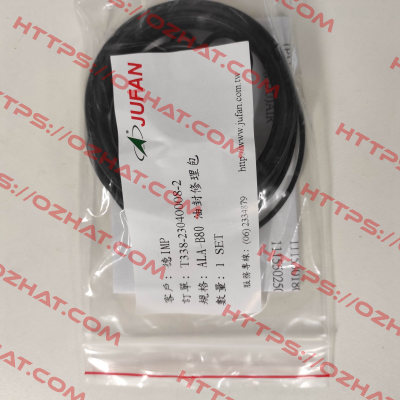 Seal kit for ALA-G-80x750ST Jufan